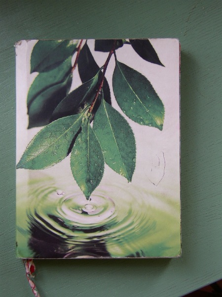 livre_d_or_001.jpg